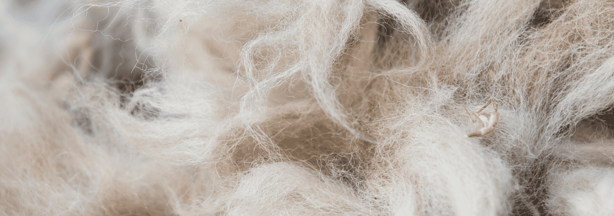 Ferme Récréative Caza et Alpaga - Fibre d'alpaga