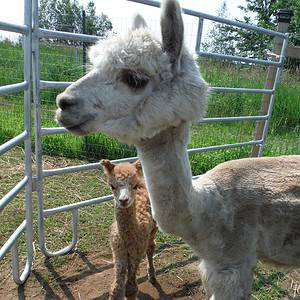 DSCF0593 - Edited - Edited