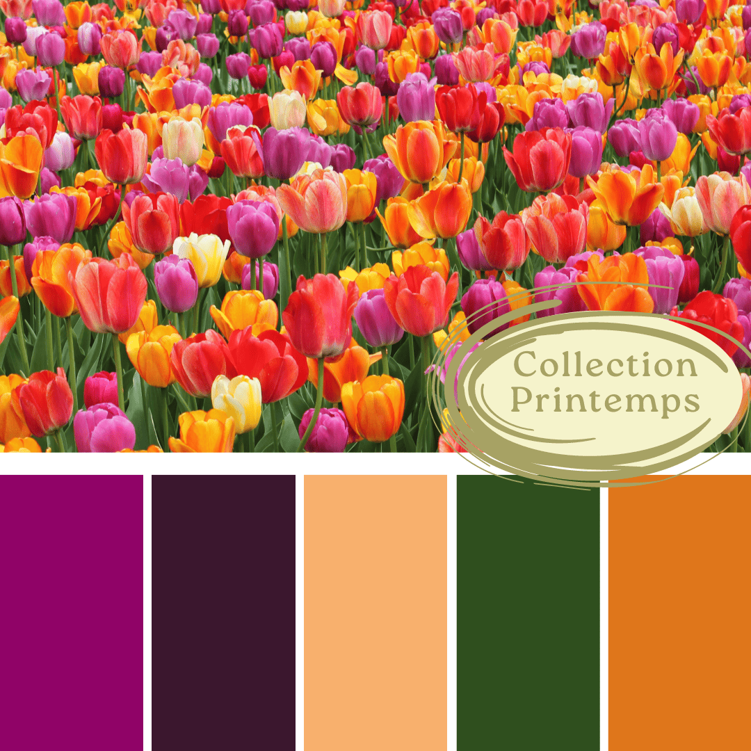 Teinture spring 2024 (2)