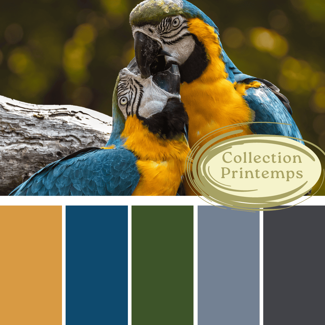 Teinture spring 2024