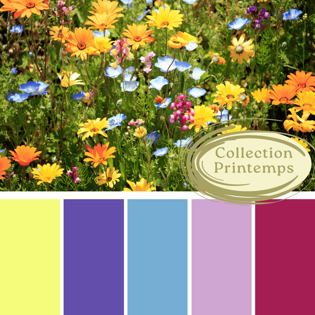 Teinture spring 2024