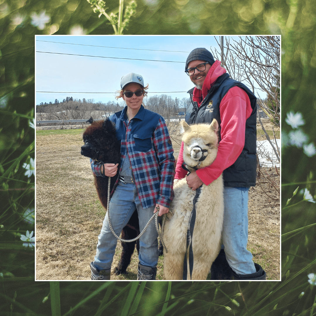 De retour à l'été 2026 Visite agrotouristique de la ferme d'alpagas - La promenade – Image 2
