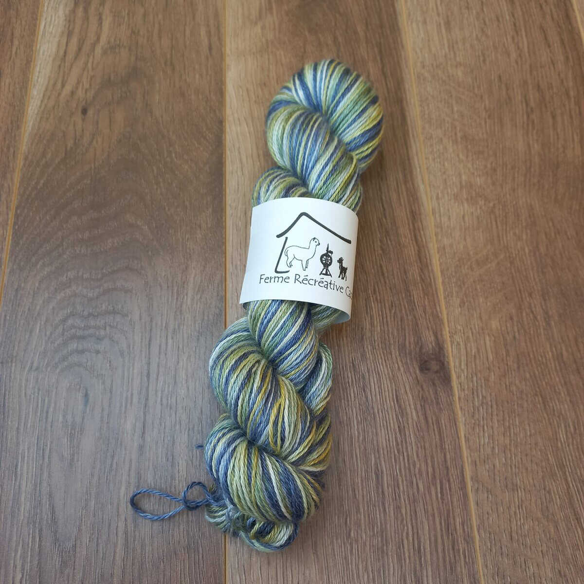 Fil à tricoter Fingering – Alpaga et Tencel – Image 12